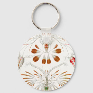 Meeresleben Krebstiere, Copepoda von Ernst Haeckel Schlüsselanhänger