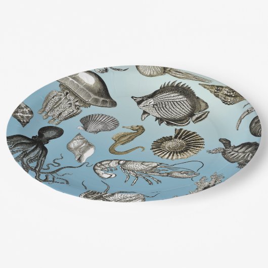 Meeresleben Pappteller (Schrägansicht)