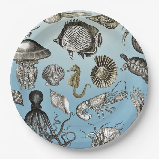 Meeresleben Pappteller (Vorderseite)