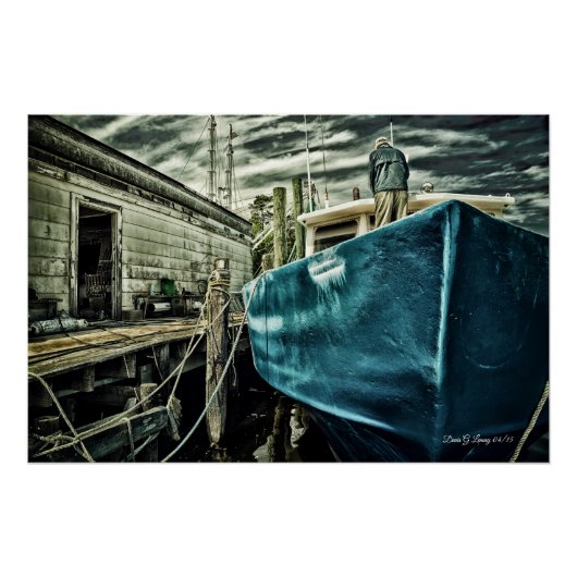 Meeresleben Poster (Vorderseite)