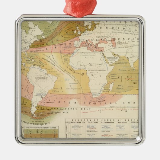 Meeresleben Silbernes Ornament (Vorne)