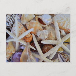 Meereslebensbedrohung Postkarte