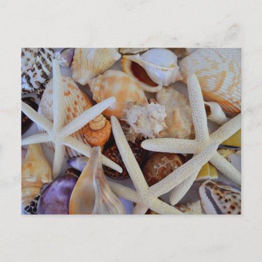 Meereslebensbedrohung Postkarte (Vorderseite)