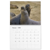 Meereslebenskalender Kalender (Feb 2026)