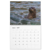 Meereslebenskalender Kalender (Mär 2027)