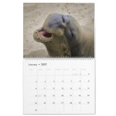 Meereslebenskalender Kalender (Jan 2027)