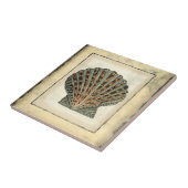 Meereslebewesen an der Küste Fliese (Seite)