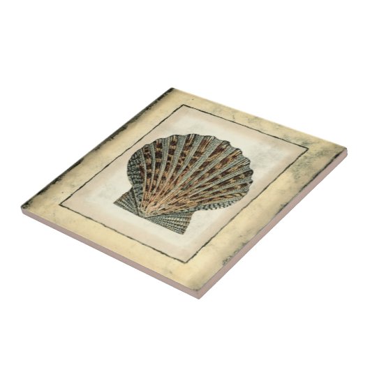 Meereslebewesen an der Küste Fliese (Seite)