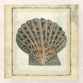 Meereslebewesen an der Küste Glasuntersetzer (Vorderseite)