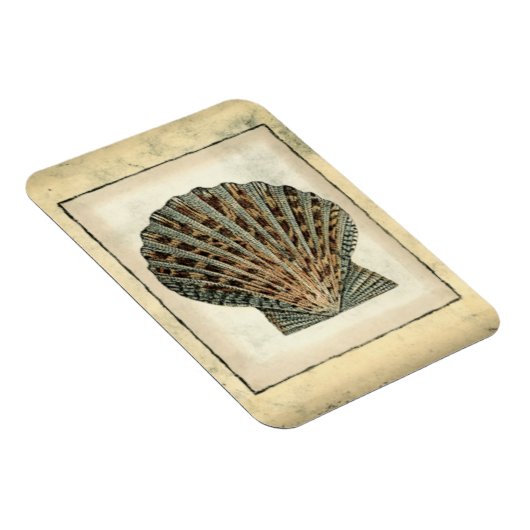 Meereslebewesen an der Küste Magnet (Rechte Seite)