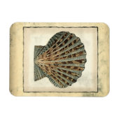 Meereslebewesen an der Küste Magnet (Horizontal)