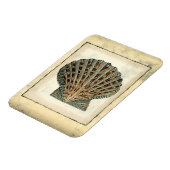 Meereslebewesen an der Küste Magnet (Linke Seite)