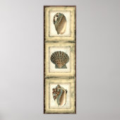 Meereslebewesen an der Küste Poster (Vorne)