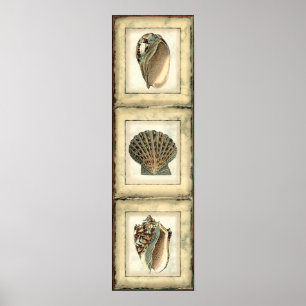 Meereslebewesen an der Küste Poster