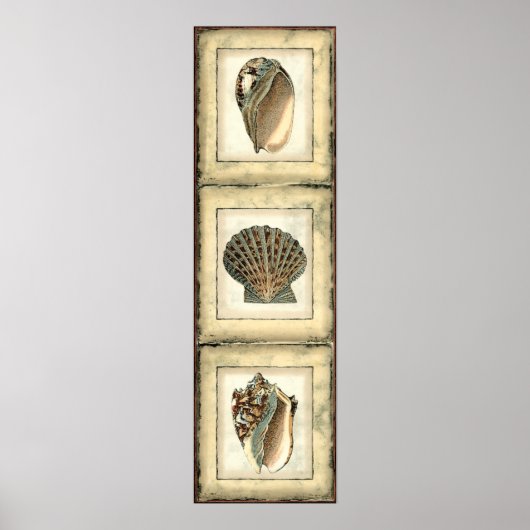 Meereslebewesen an der Küste Poster (Vorne)