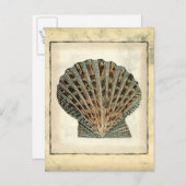 Meereslebewesen an der Küste Postkarte (Vorne/Hinten)