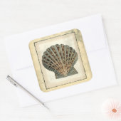 Meereslebewesen an der Küste Quadratischer Aufkleber (Umschlag)