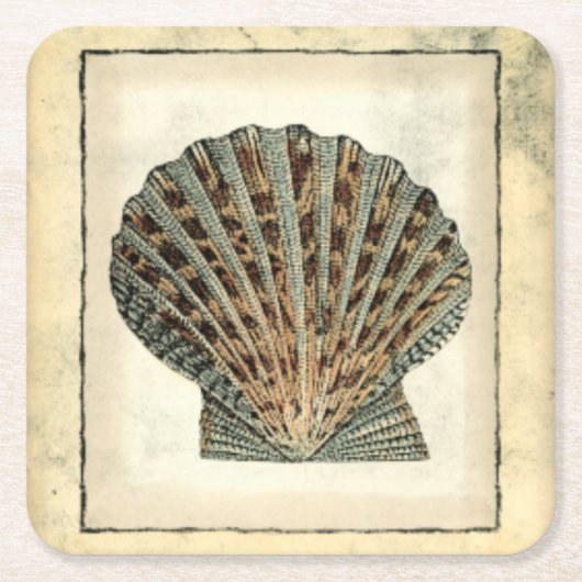 Meereslebewesen an der Küste Rechteckiger Pappuntersetzer (Vorderseite)