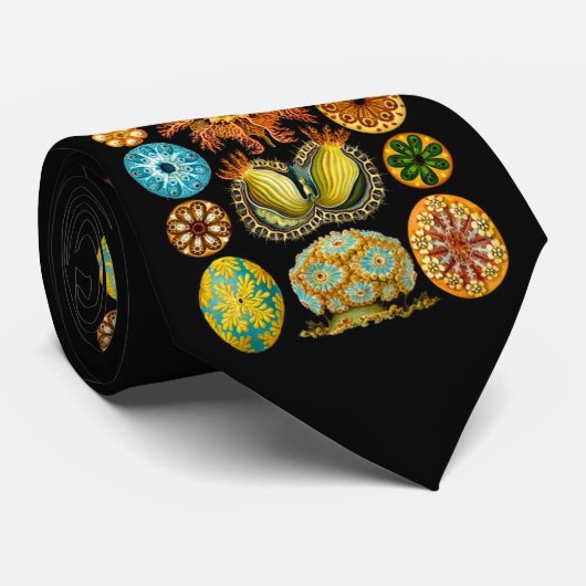 Meereslebewesen drucken krawatte (Gerollt)