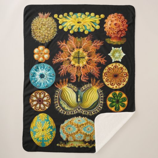 Meereslebewesen drucken sherpadecke (Vorderseite)