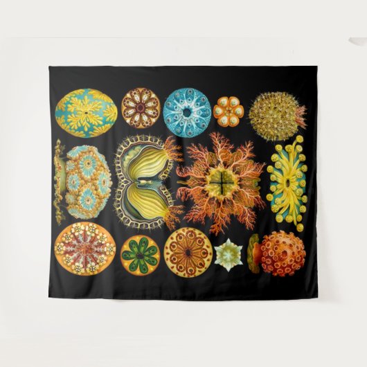 Meereslebewesen drucken wandteppich (Vorderseite (Horizontal))