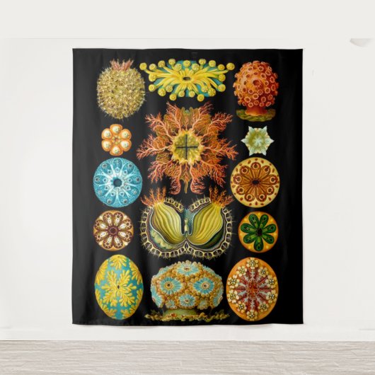 Meereslebewesen drucken wandteppich (Vorderseite)