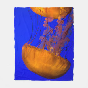 Meereslebewesen Fleecedecke