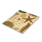 Meereslebewesen Fliese (Seite)