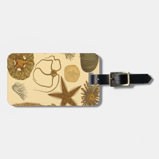 Meereslebewesen Gepäckanhänger (Vorderseite horizontal)