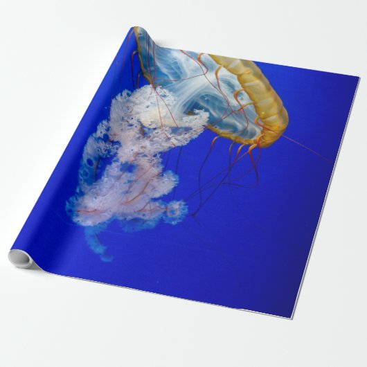 Meereslebewesen Geschenkpapier (Ungerollt)