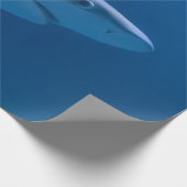 Meereslebewesen Geschenkpapier (Ecke)