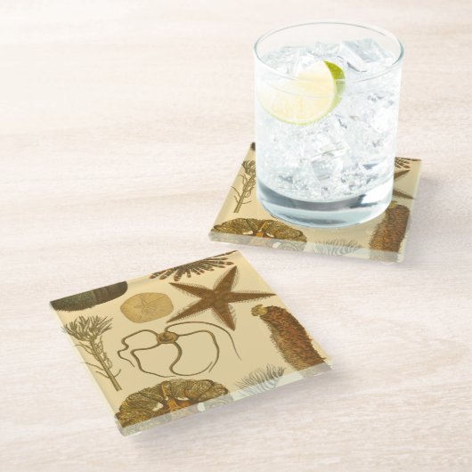 Meereslebewesen Glasuntersetzer (Schrägansicht)