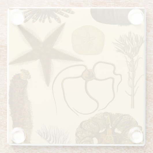 Meereslebewesen Glasuntersetzer (Rückseite)