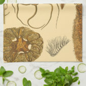 Meereslebewesen Küchentuch (Gefaltet)