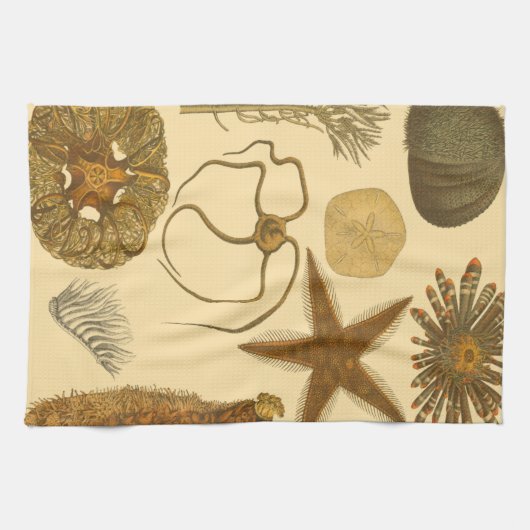 Meereslebewesen Küchentuch (Horizontal)