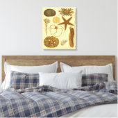 Meereslebewesen Leinwanddruck (Insitu (Schlafzimmer))
