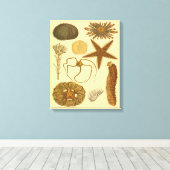 Meereslebewesen Leinwanddruck (Insitu (Holzboden))