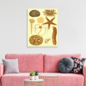 Meereslebewesen Leinwanddruck (Insitu (Wohnzimmer))