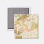 Meereslebewesen Magnet (Vorderseite/Rückseite)