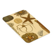 Meereslebewesen Magnet (Rechte Seite)