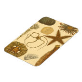 Meereslebewesen Magnet (Linke Seite)