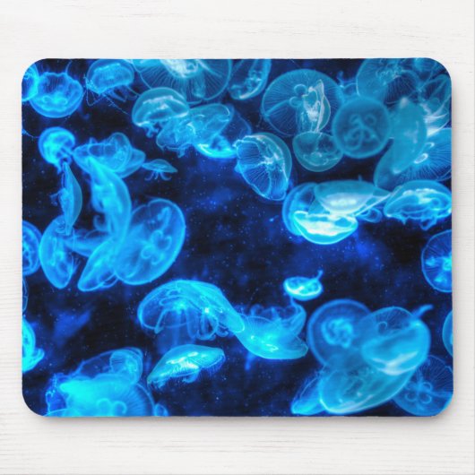 Meereslebewesen Mousepad (Vorne)