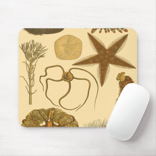 Meereslebewesen Mousepad (Mit Mouse)