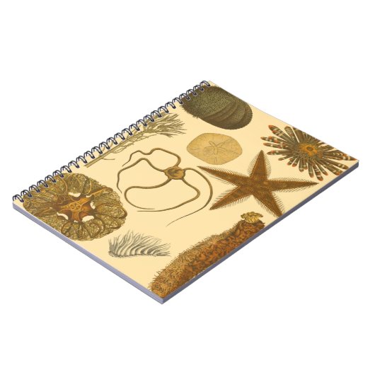 Meereslebewesen Notizblock (Linke Seite)