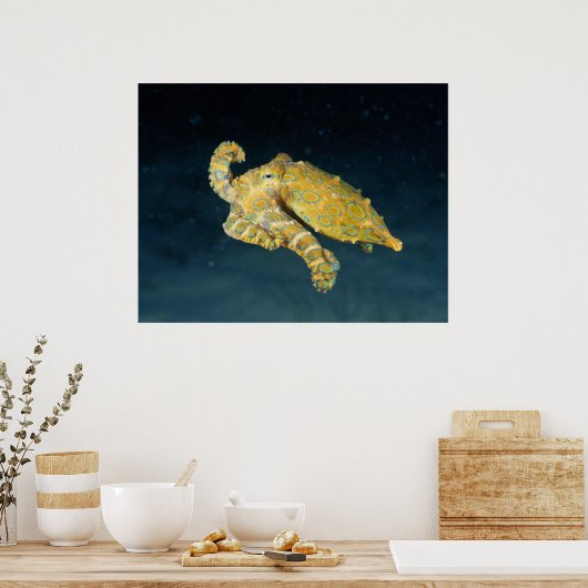 Meereslebewesen - Oktopus Poster (Küche)