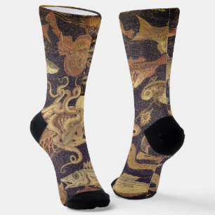 Meereslebewesen, Pompeji-Mosaik Socken