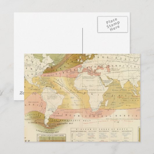 Meereslebewesen Postkarte (Vorne/Hinten)