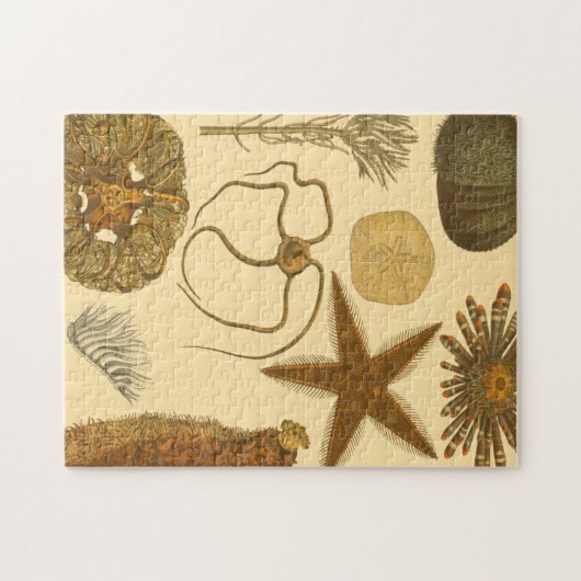 Meereslebewesen Puzzle (Horizontal)