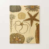 Meereslebewesen Puzzle (Vertikal)