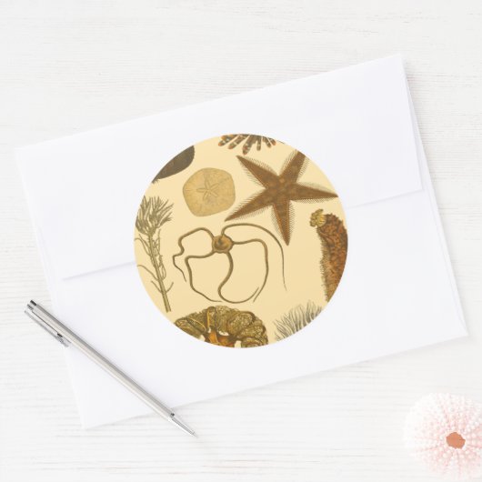 Meereslebewesen Runder Aufkleber (Umschlag)